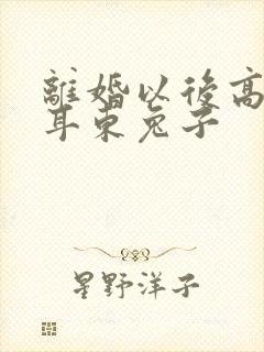 离婚以后高干 耳东兔子