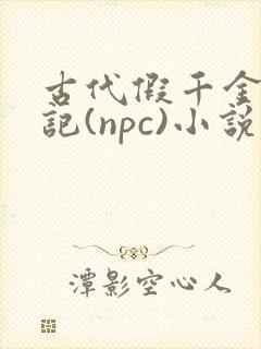 古代假千金挨日记(npc)小说