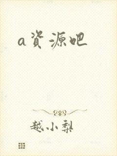 a资源吧