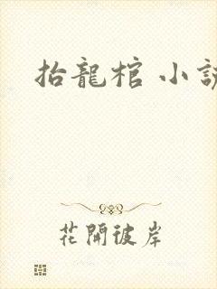 抬龙棺 小说