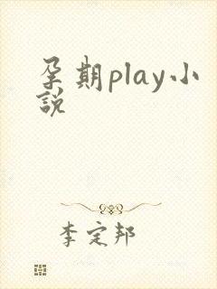 孕期play小说封面