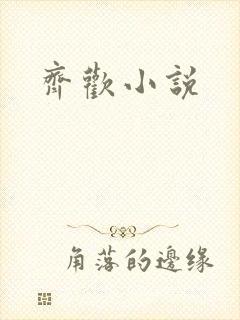 齐欢小说封面