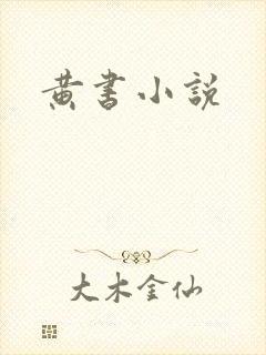 黄书小说