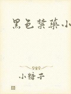 黑色禁药小说