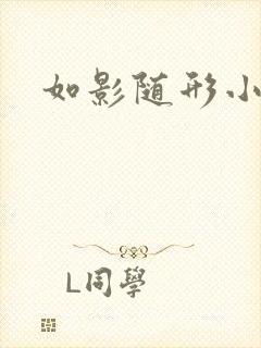 如影随形小说