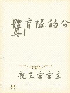 体育队的公用玩具1