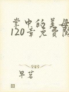 掌中的美母版主120章免费阅读
