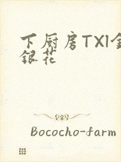 下厨房TXl金银花