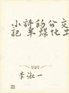 小诗的公交车日记 半煤化工