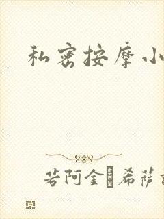 私密按摩小说