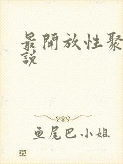 最开放性聚会小说
