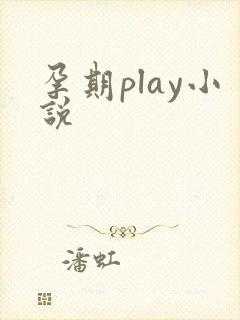 孕期play小说封面
