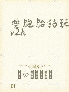 双胞胎的玩具1v2h