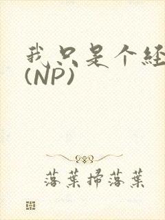 我只是个经纪人(NP)