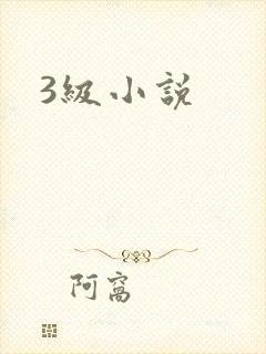 3级小说