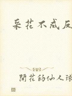 采花不成反被采