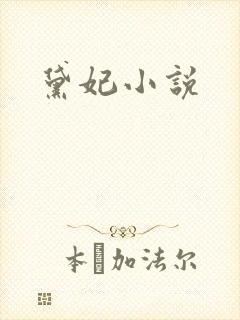 黛妃小说封面