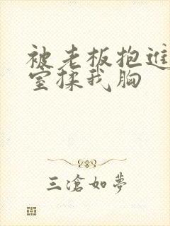 被老板抱进办公室揉我胸封面