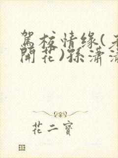 驾校情缘(老树开花)孙潇潇第一次趣笔阁封面