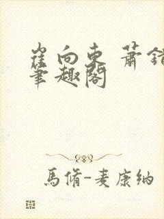 崔向东 萧错 笔趣阁封面
