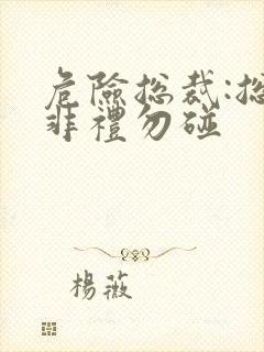 危险总裁:总裁非礼勿碰封面