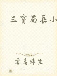 三宝局长小说