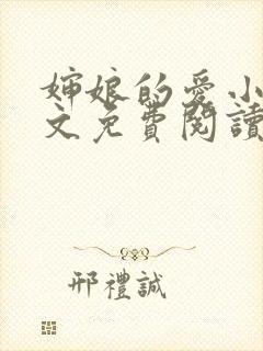 婶娘的爱小说全文免费阅读