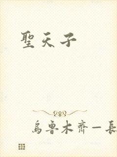 圣天子封面