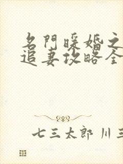 名门暖婚之权爷追妻攻略全文免费阅读
