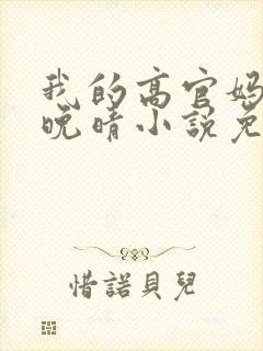 我的高官妈妈苏晚晴小说免费阅读