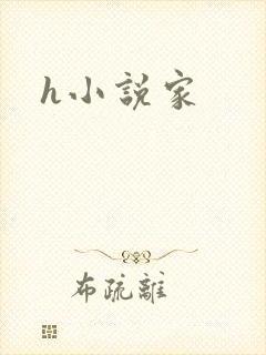 h小说家