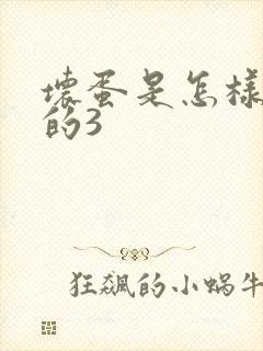 坏蛋是怎样练成的3封面