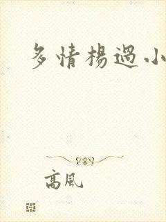 多情杨过小说