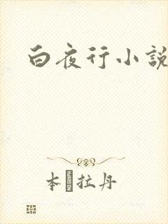 白夜行小说下载封面