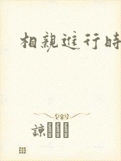相亲进行时