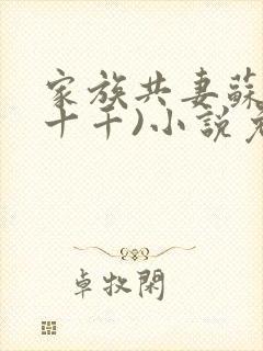 家族共妻苏苏(十千)小说免费