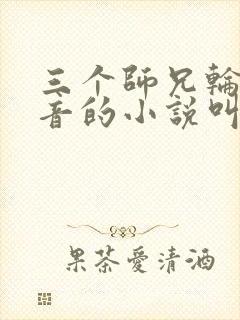 三个师兄轮流上音的小说叫什么