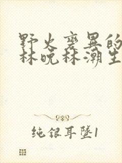 野火变异的父爱林晚林潮生
