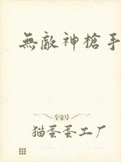 无敌神枪手封面