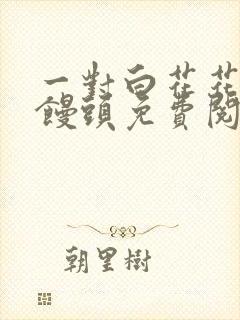 一对白花花的大馒头免费阅读封面