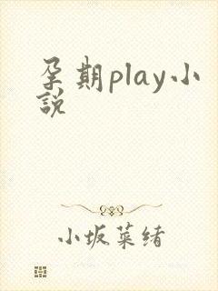 孕期play小说
