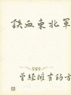 铁血东北军