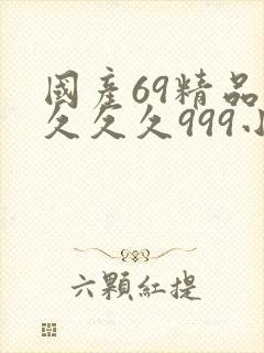 国产69精品久久久久999小说