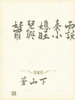 好儿媳秦雨罗明罗兴旺小说