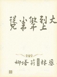 从小做到大骨科兄弟年上
