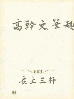 高干文笔趣阁