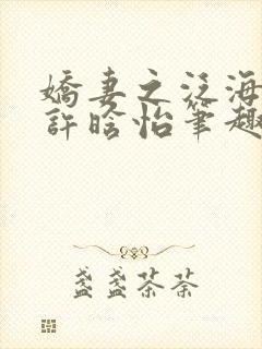 娇妻之泛海之舟许晗怡笔趣阁