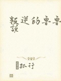 叛逆的鲁鲁修小说封面