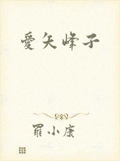 爱矢峰子封面