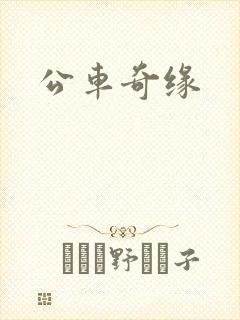 公车奇缘